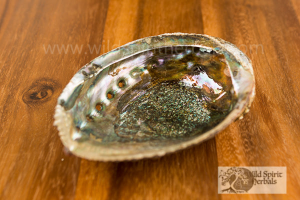 Abalone Shell