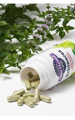 Echinacea Capsules