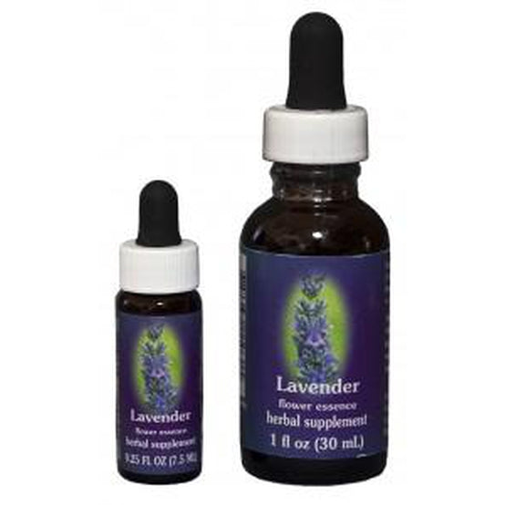 lavender flower essence Lavender Flower Essence