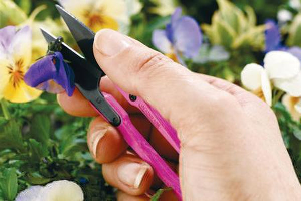 Garden, Harvesting & Wildcrafting