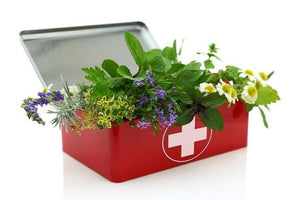 Herbal Healing Remedies