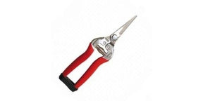 Stainless Straight Shears